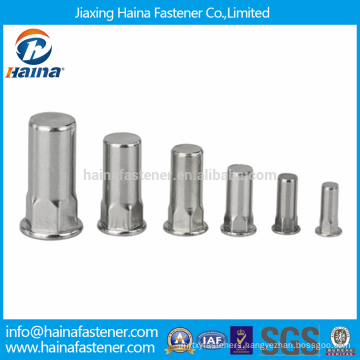 Stainless Steel Flat Head Semi-Hexagonal Blind Rivet Nuts